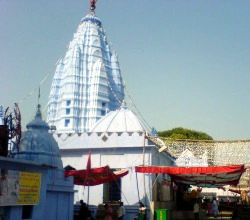 Maa Samaleswari Temple