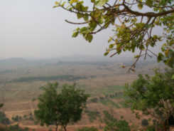 From the top of Tara Tarini Temple